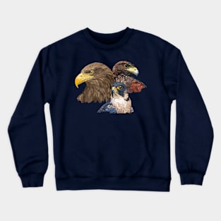 Pigargo and Falcons Crewneck Sweatshirt